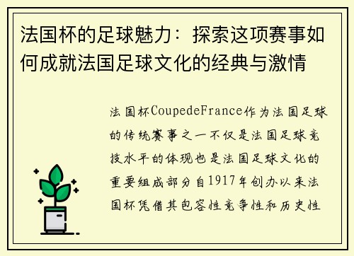 法国杯的足球魅力：探索这项赛事如何成就法国足球文化的经典与激情